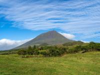 29 Azoren - Inseln Pico, Faial und São Miguel